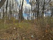 Vail Rd, Knowlton, Plot For Sale
