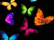 Vajra Balaji Gardens 166 Sq. Yd. Plot in Ameerpet...