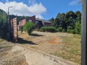 Valdivia, los aromos