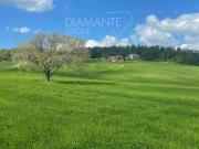 Valentano Lazio 98131535