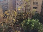 VALENTIN LETELIER / AMUNATEGUI