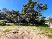 Valeria del Mar venta 2 lotes comercial, multifamiliar y...