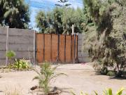 VALLE AZAPA BORDE DE CARRETERA KM 3