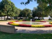 VALLE IMPERIAL COTO ESPAÑOL