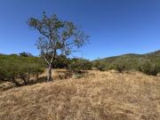 VALLE OCULTO, CATAPILCO