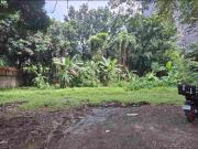 Valle Verde 6 Pasig Residential Lot