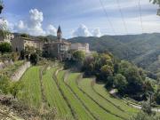 Valleraugue Vente Immeuble 30