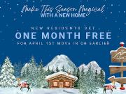 Vancouver 1 Bedroom Apartment For Rent 1005 Jervis Street