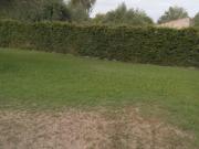 VANIN Servicios Inmobiliarios VENDE