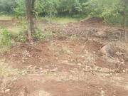 Varasgaon, Pune West 130000 Sq.Ft. Plot in Varasgaon Pune