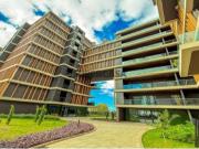 Varino 07 Dubai Madeira