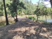 Vasta Propriedade Rural com Lagos 12,5 Alqueires em...