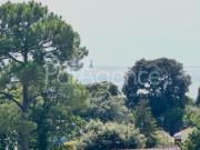 Appartement 3 pièces Vue mer et pins