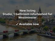 Vauxhall Bridge Road, London SW1V, Studio to rent,...