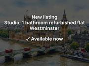 Vauxhall Bridge Road Studio to rent £2,400 pcm £554 pw