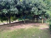 Velleda oferece magnífica casa térrea com piscina em...