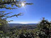 Vence Vente Maison 06