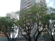 VENDA | Apartamento, com 3 dormitórios em Zona 07, Maringá