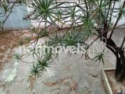 Venda Casa Cidade Jardim Belo Horizonte Venda Casa Cidade Jardim Belo Horizonte