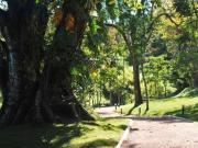 VENDA CASA CONDOMINIO ALPHAVILLE CAMPINAS