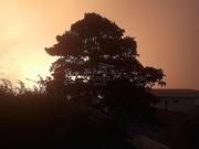 Venda Casa São Caetano do Sul Cerâmica