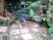 Venda Chácara, Bocaiúva do Sul PR #7758