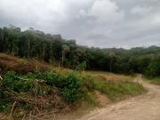 Venda Chácara, Bocaiúva do Sul PR #7758