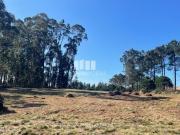 Venda de terreno para construo, Tregosa, Barcelos