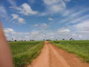 Venda Fazenda FAZENDA, #16497