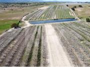 VENDA HERDADE COM PRODUÇÃO DE CEREJAS e PESSEGUEIROS