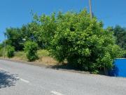 Venda judicial do lote de terreno na Zona Industrial do...