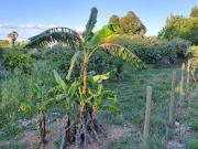 Venda de Lote com 1.275m2 URBANO em Castelo, Sesimbra...