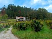 Venda Quinta do Adigueiro T3 + 1