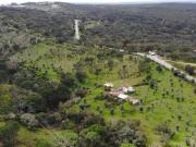 QUINTA COM 5HA DE TERRENO COM 500M2 URBANO GALVEIAS...