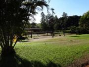 VENDA | Sítio, em GLEBA RIBEIRÃO CENTENARIO, Maringá