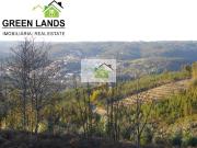 Venda Terreno cerca de 6000m2