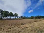 Venda Terreno com potencial em, A Dos Cunhados