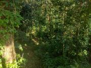 Venda Terreno em condomínio Portogalo, Angra dos Reis RJ...