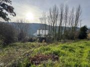 Venda Terreno, Loivos da Ribeira e Tresouras, Baio