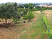 Venda Terreno rústico em Vendas de Azeitão