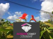 Venda terreno Sintra