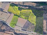 Venda terreny agrícola amb petita masia a Barberà de la...