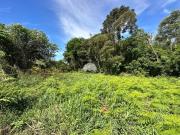 Vendas ChÃ¡cara Pato Branco PR