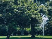 VENDE APTO ILARCO 114