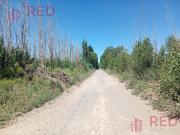 Vende Chacra con produccion Activa en Cinco Saltos