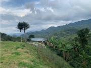 VENDE FINCA PRODUCTIVA EN SASAIMA