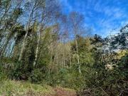 VENDE Parcela a 5 minuto de Lautaro