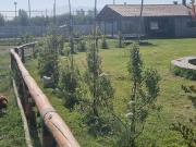 VENDE HERMOSA PARCELA EN OLIVAR ALTO RANCAGUA