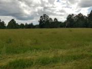 VENDE hermosa parcela en sector Runca Máfil