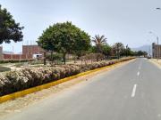 VENDE LOCAL INDUSTRIAL EN PARQUE INSDUSTRIAL N°1 HUAYCAN...